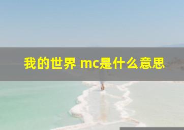 我的世界 mc是什么意思